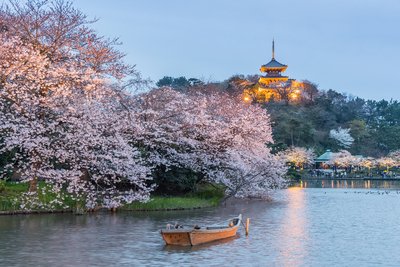 🌳 마이오카 공원 (舞岡公園)